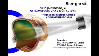 Bases estructurales y funcionales del ojo Traducción( Español)