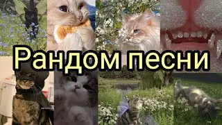 Speed up ||рандомные песни || песни для уборки || 🎧