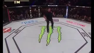 Conor McGregor vs Nate Diaz 2