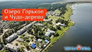 Целебное озеро Горькое и Чудо-дерево. Путешествуем по Курганской области | Ураловед