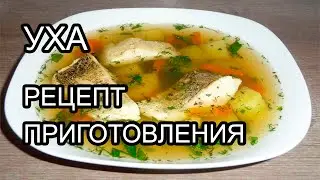 УХА. КАК ПРИГОТОВИТЬ УХУ ДОМА. РЕЦЕПТ ПРИГОТОВЛЕНИЯ УХИ