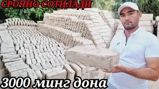 ( ЛОЙ ҒИШ ) СРОЧНО СОТИЛАДИ 2 СОМОН ДОНАСИ ❗️