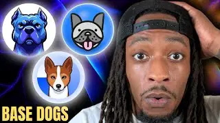 Base Chain Dog Meme Coins
