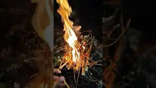 время 3:20, ночь, рыбалка