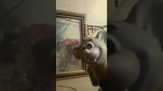 📹 