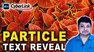 How to Create Particle Text Reveal Effect | powerdirector