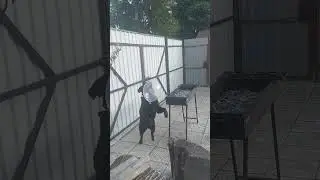 26 июня 2023 г.