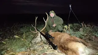 # 94 chilling deer hunt. Took the vanquished. Shot in the frame.