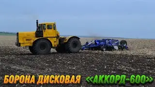 Борона дисковая "Аккорд 600"