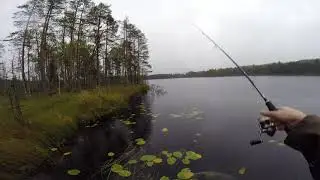 Продолжение 2016. (часть 2)