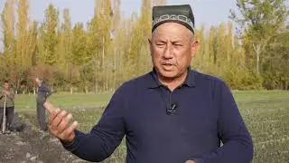 Булоқбоши тумани деҳқонлари.