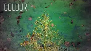 Midnight Shoppers - Colour