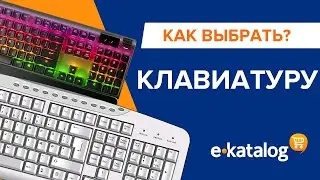Как выбрать клавиатуру. В чем разница между механикой и мембранной. Отличия свитчей