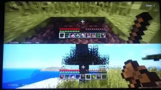 Minecraft, Episode 1:  A New Start