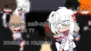 ||Реакция зайчика на ТТ|| 13/? !2 х! (чит.опис.)