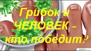 Грибы и человек  - кто победит? Грибы: необъявленная война.