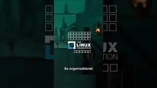 The history of the 