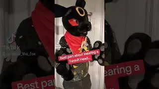 Fursuit Vision ! #furry #furrys #furries #fursuit #fursuiter #furryfandom #cosplay #fursuiting