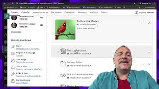Blackboard Ultra: Basic Organization in Blackboard