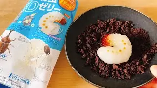 3D larva jelly🐛popincookin