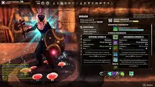Warden tank teso build clockwork city (Lecture in Russian)
