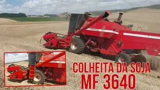 Colheita da Soja MF 3640