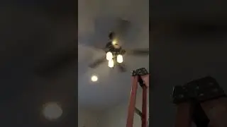 Hunter Ceiling Fans. Buy one if you enjoy neck pain. 