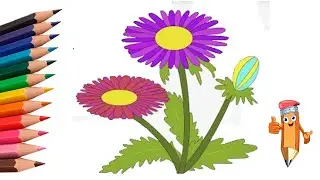 How to draw an aster