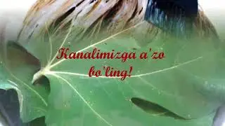 Анжир барги оқ сочларни қорайтиради
