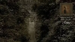 Ethel Cain - Nettles (Official Visualizer)