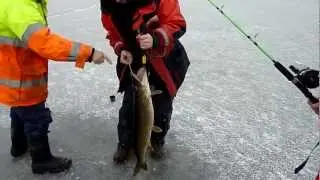 Henke's gädda på 6.20kg~