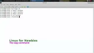 Level Up Your Linux Skills with the Copy Command Technique