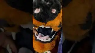 Teeths