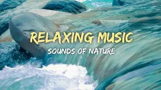 Relaxing Music with Nature Sounds|Izzy Sancha