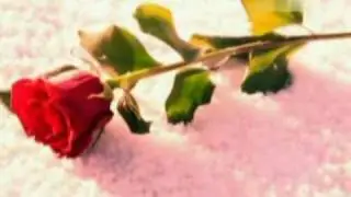 Стихи Ирины Кельвер