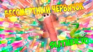 Бессмертный червячок - slither.io