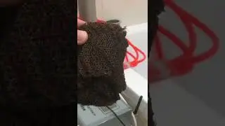 Пыжи после перегона браги