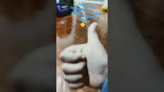 suscriban para que vuelva