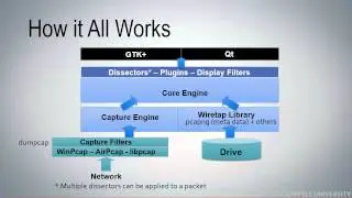 WCT02-S7: Describe How Wireshark Processes Packets [WCT02: Introduction to Wireshark Course]