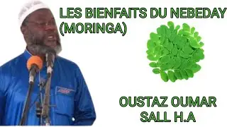 OUSTAZ OUMAR SALL H.A LES BIENFAITS DU NEBEDAY (MORINGA)
