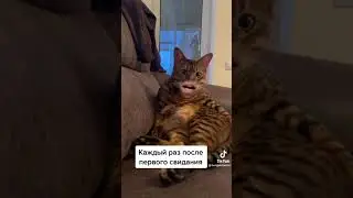 каждый раз после первого свидания