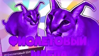 ВЫБИВАЮ ФИОЛЕТОВОГО ШЛЁПУ /Your Floppa /
