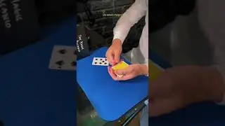 Video Restless Color