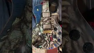 PRS Dragon 2002 (rarissima, 100 pezzi nel mondo) #guitar #rare #prs #dragon
