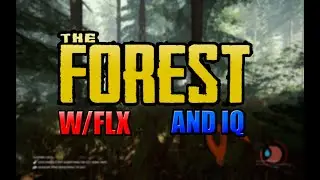 THE FOREST W/ FLX AND IQ