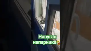 Напугал напарника охрана в ночную смену 