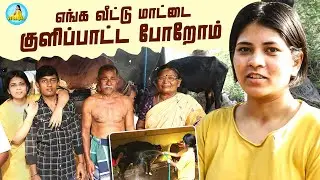 எங்க வீட்டு மாட்டை குளிப்பாட்ட போறோம் | #hometown #vlog  | VJ Deepika