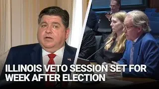 Illinois veto session set for week after election