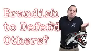 Brandish to Defend Others in Illinois? Ask the Instructor, Not Legal Advice