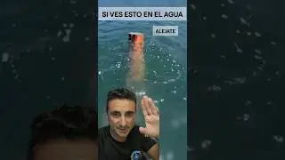 Si ves esto en el agua , aléjate. 